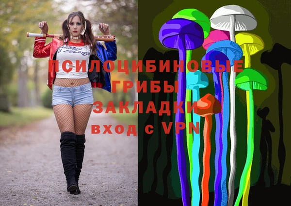 прущая мука Алзамай