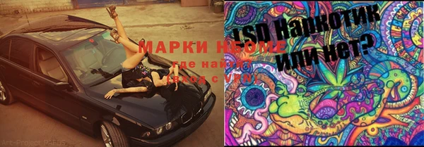 прущая мука Алзамай